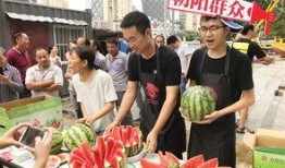 北京朝阳吃瓜 吃瓜网官网,探寻吃瓜网官网，解锁美食新天地