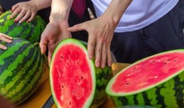 今日吃瓜,揭秘娱乐圈最新热点事件